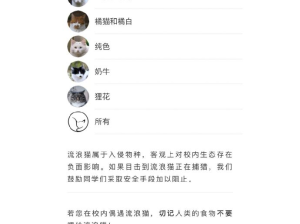 北大猫猫图鉴，哈哈哈哈哈好有爱呀